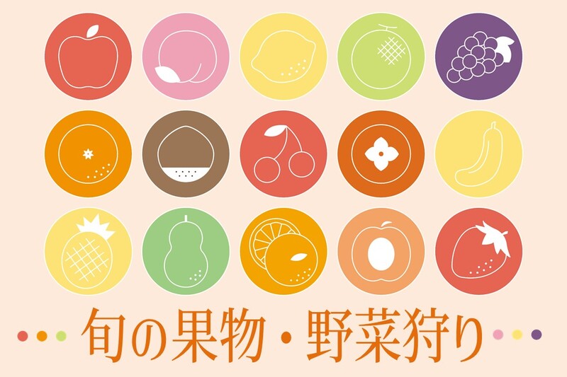 旬のフルーツ