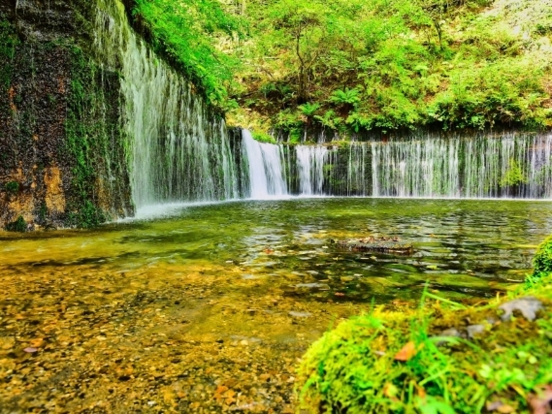  白糸の滝