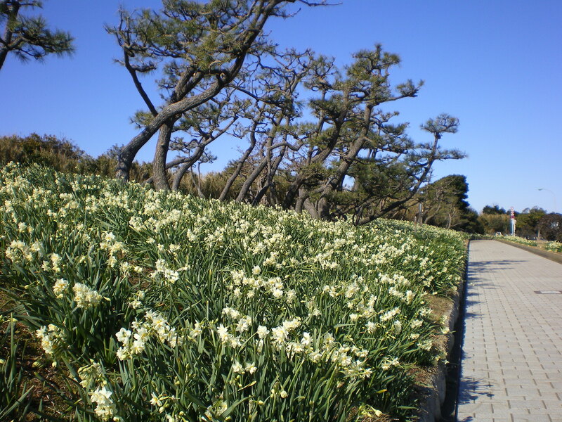  城ヶ島公園