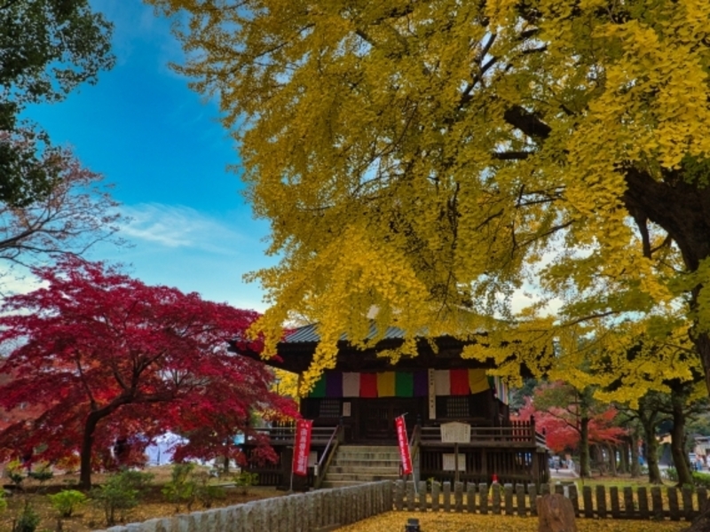 鑁阿寺