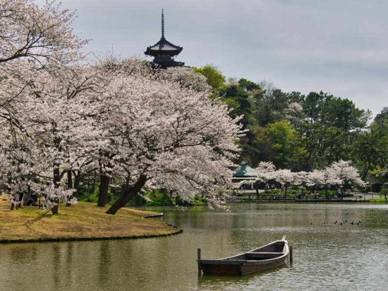  三渓園