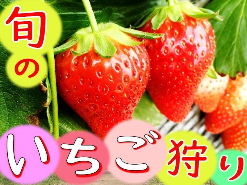 いちご
