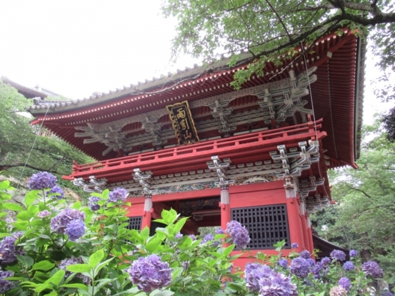 水中華