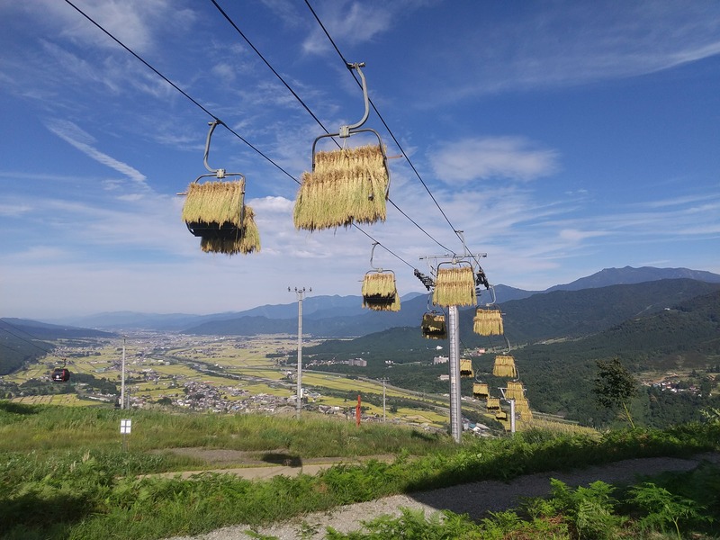 天空米