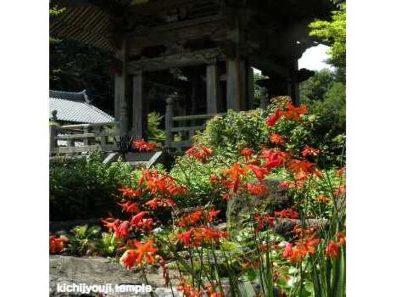  寺