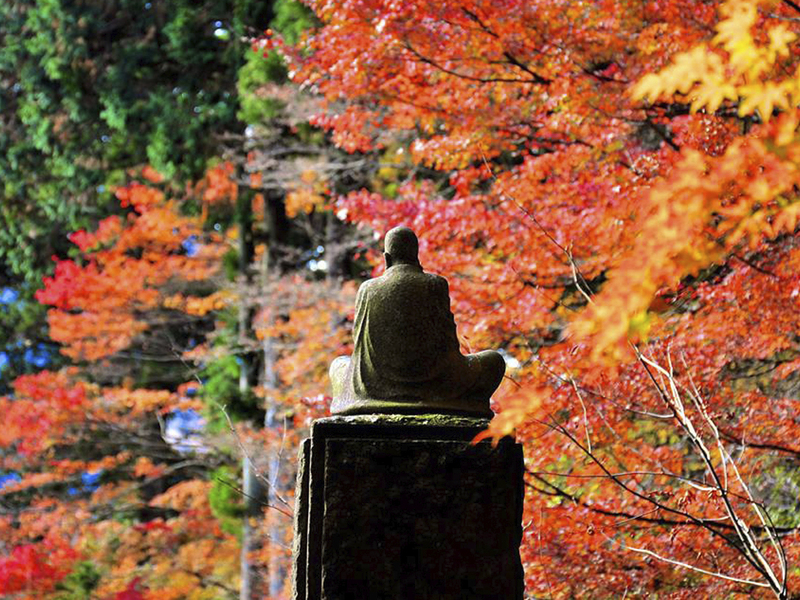 紅葉/イメージ