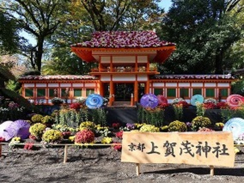 昨年菊まつり