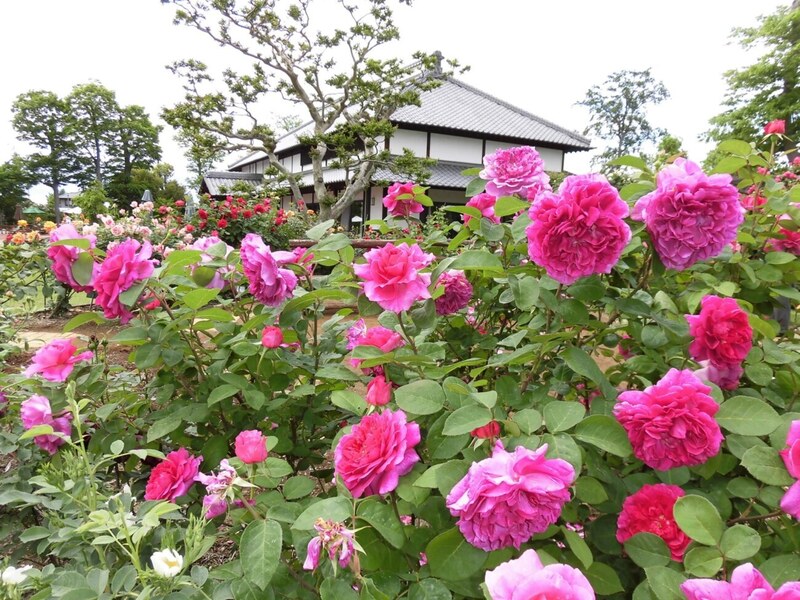  花久の里