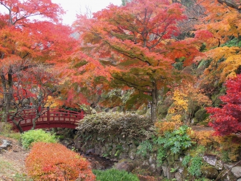 熱海梅園