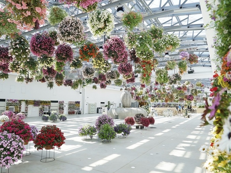  フラワーシャンデリア