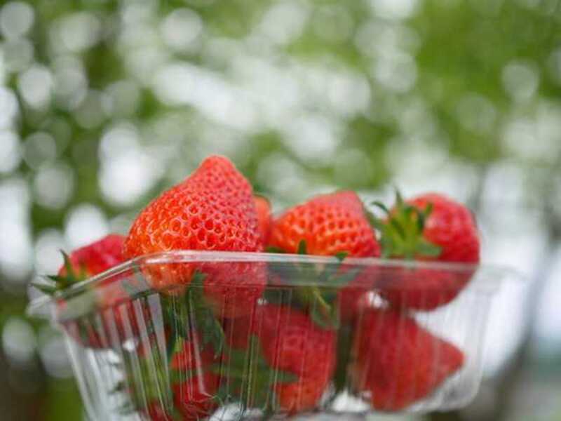 いちご１パック