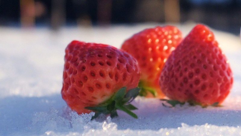 いちご/イメージ