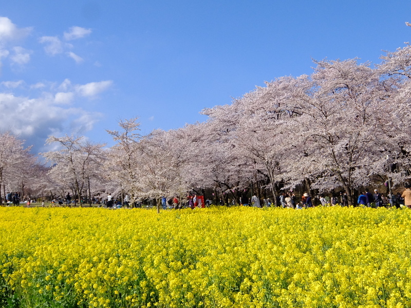 赤城／イメージ