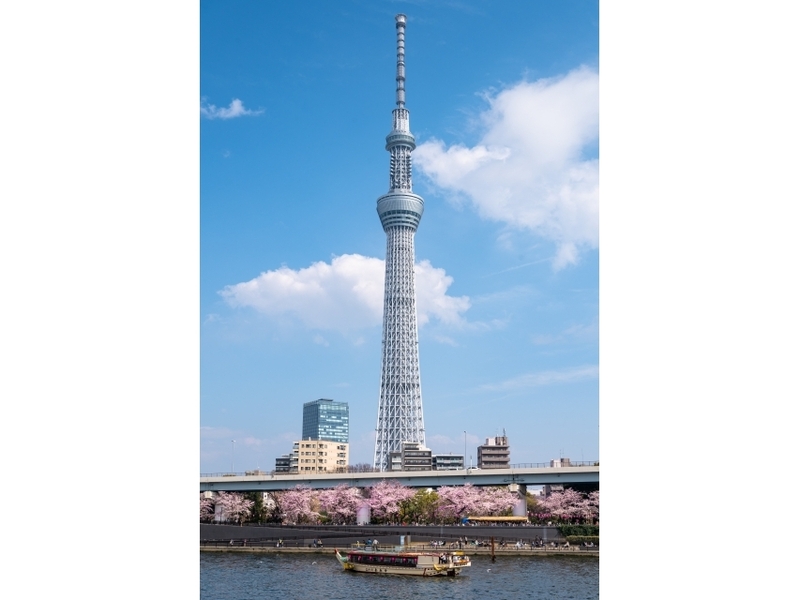  スカイツリー