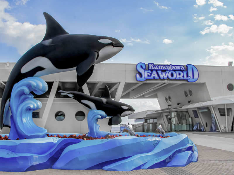 鴨川シーワールド/イメージ