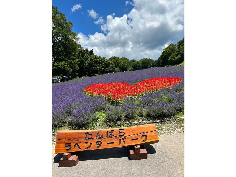 たんばらラベンダーパーク