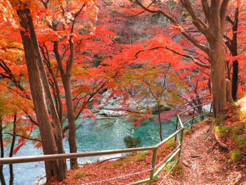 諏訪峡