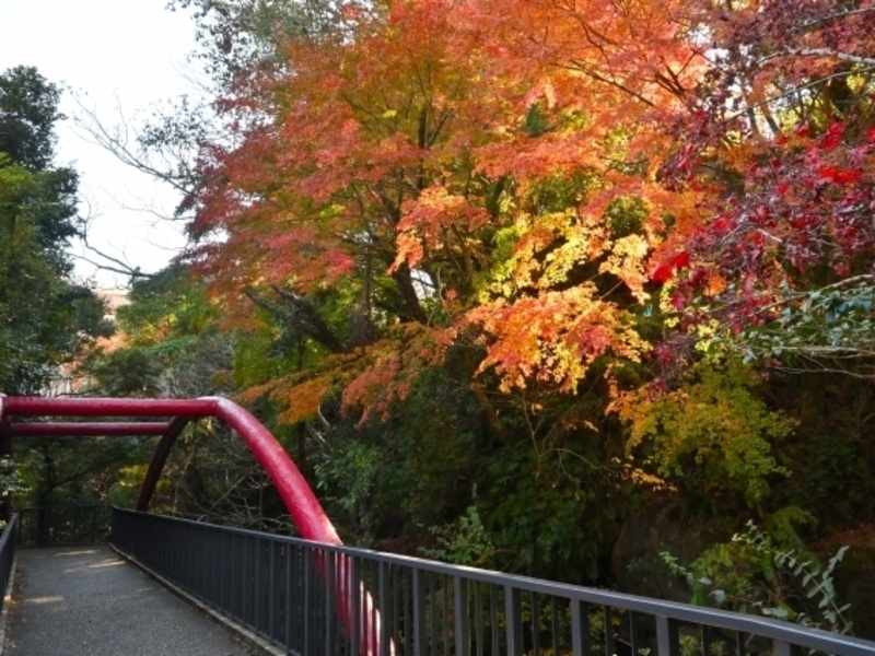 万葉公園