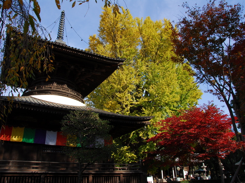 鑁阿寺
