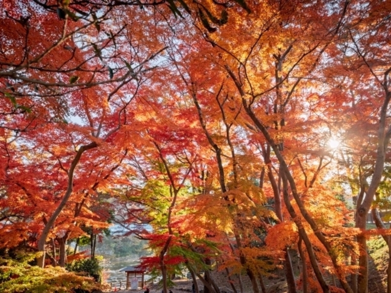 雀宮公園