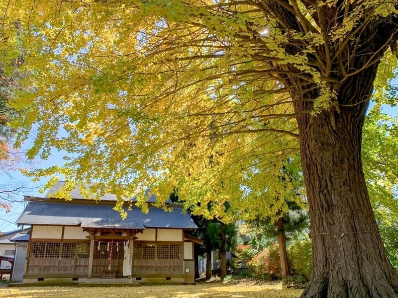 八王子神社