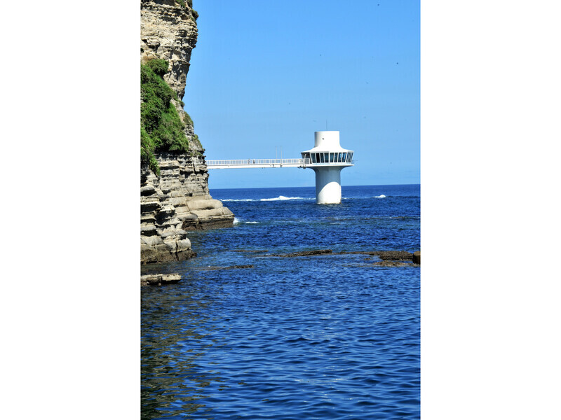 海中公園
